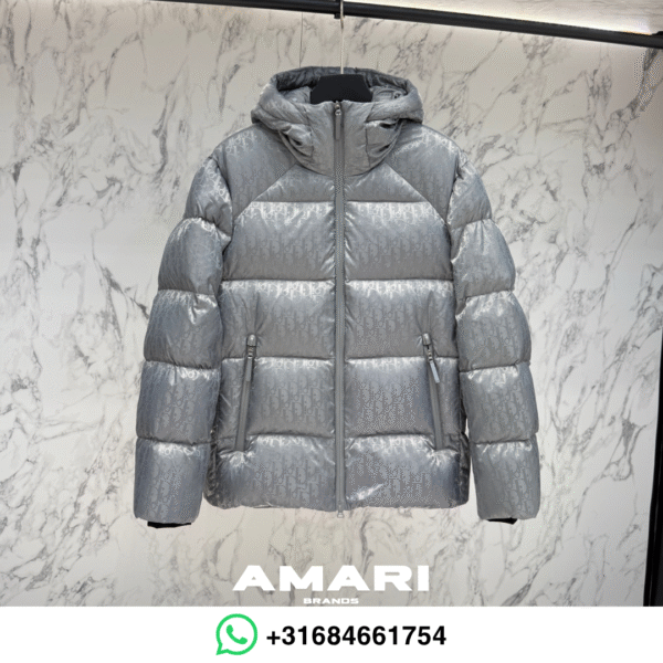 Dior - Winterjas met Oblique-motief - Grijs