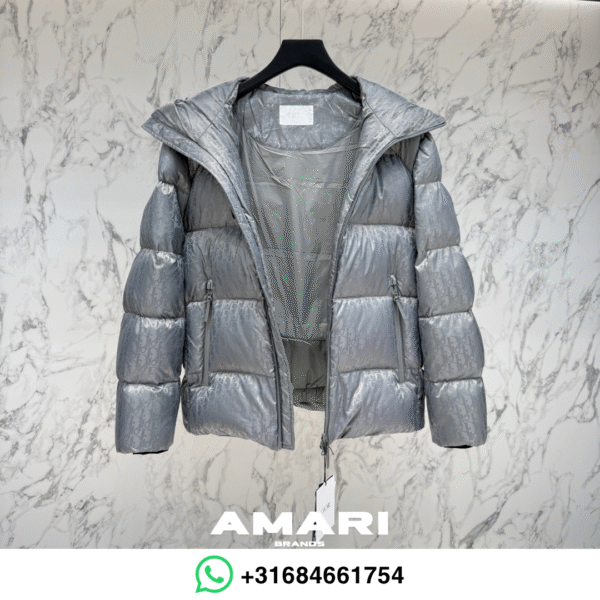 Dior - Winterjas met Oblique-motief - Grijs